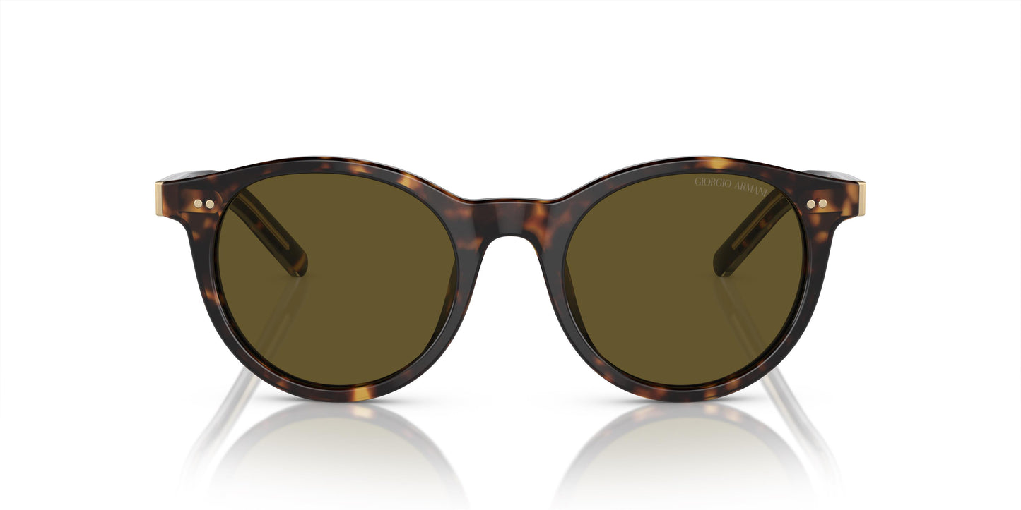 Giorgio Armani AR8199U 587973 50