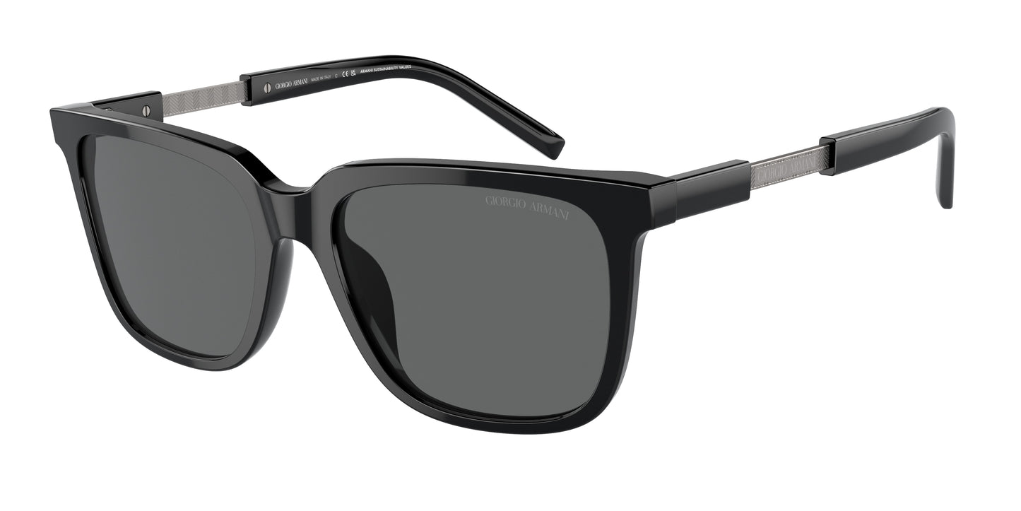 Giorgio Armani AR8202U 587587 55