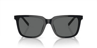 Giorgio Armani AR8202U 587587 55