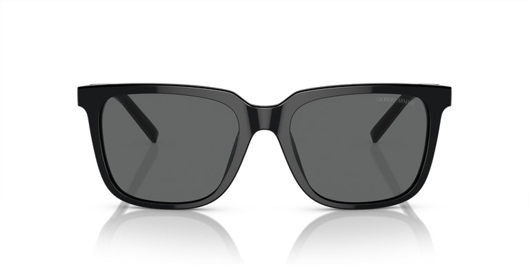 Giorgio Armani AR8202U 587587 55