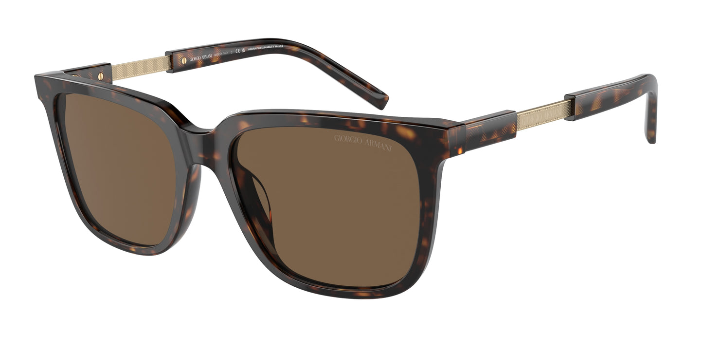 Giorgio Armani AR8202U 587973 55