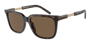 Giorgio Armani AR8202U 587973 55