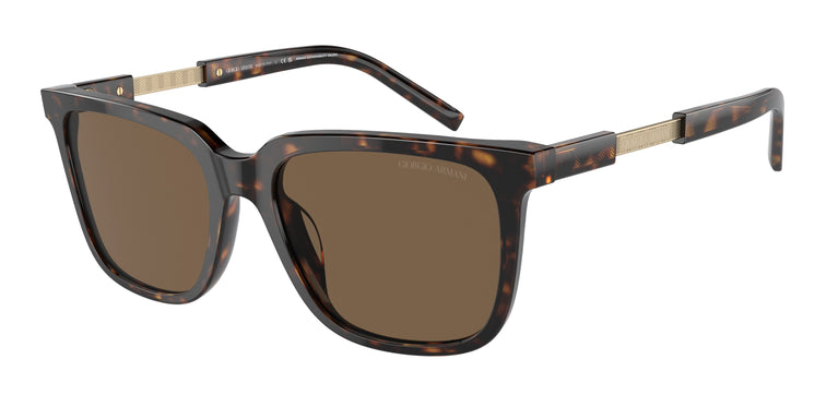 Giorgio Armani AR8202U 587973 55