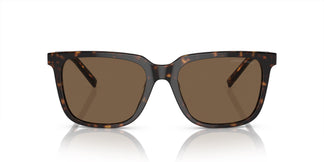 Giorgio Armani AR8202U 587973 55