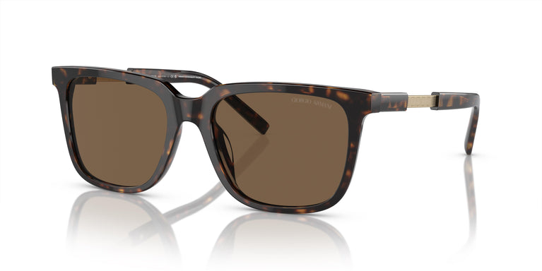 Giorgio Armani AR8202U 587973 55