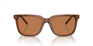 Giorgio Armani AR8202U 604973 55