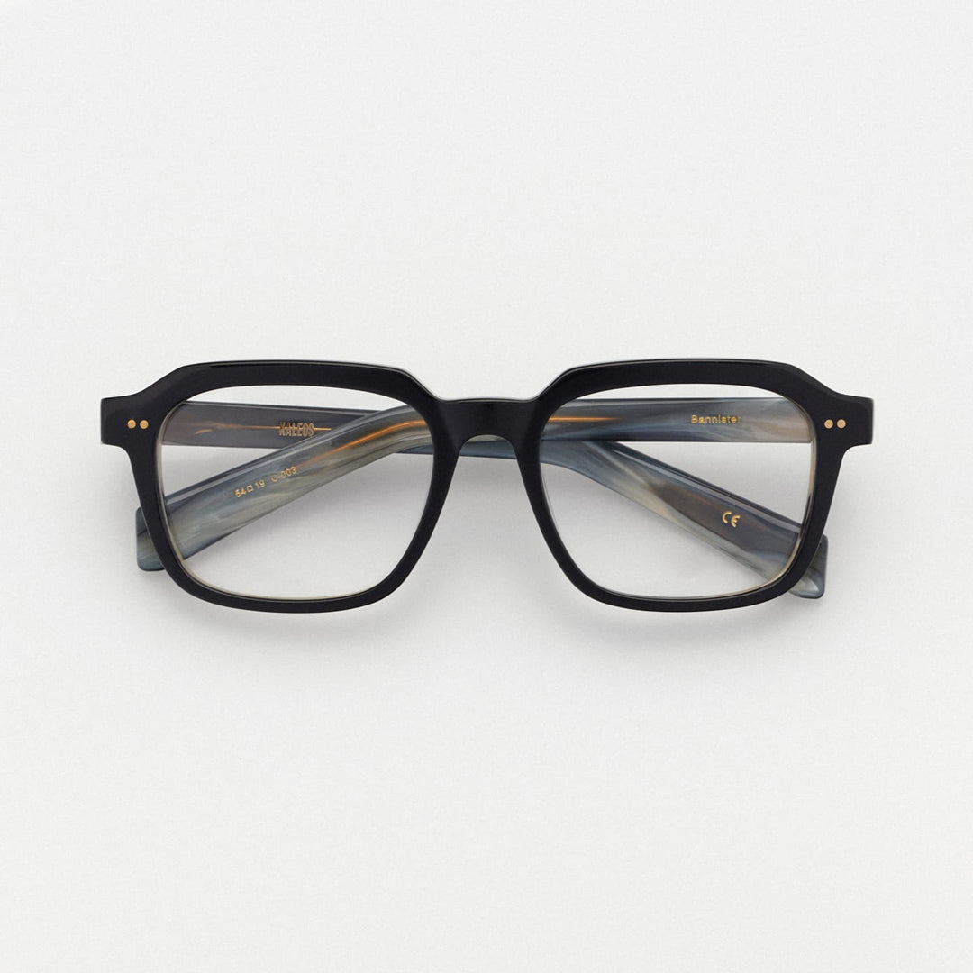 Kaleos Bannister 3  54