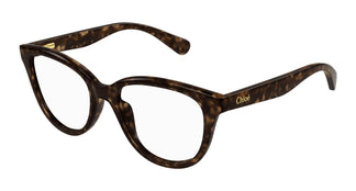 Chloé CC0021O 002 47
