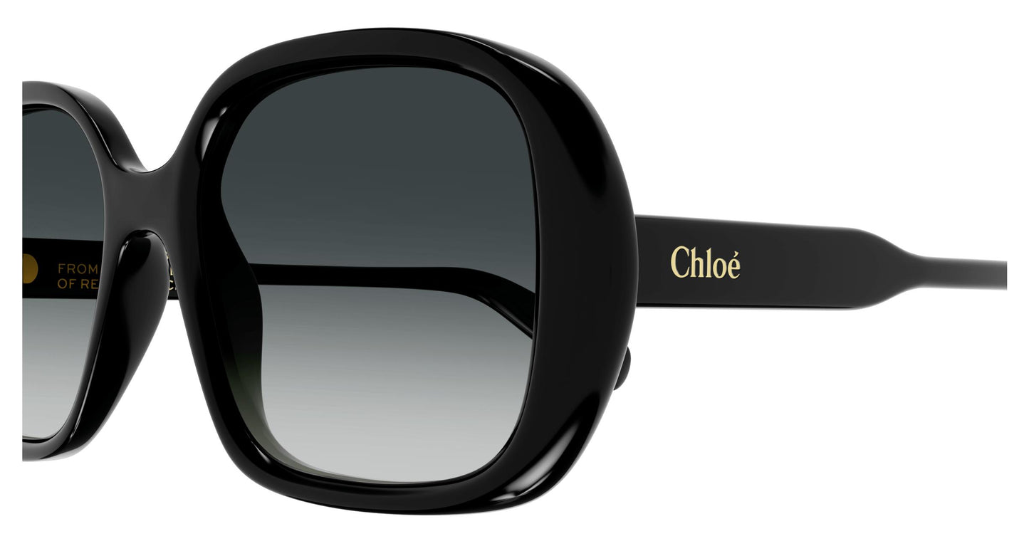 Chloé CH0222S 001 55