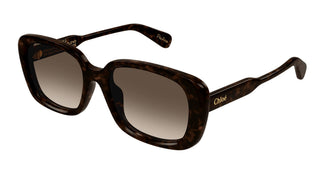 Chloé CH0225SK 002 55