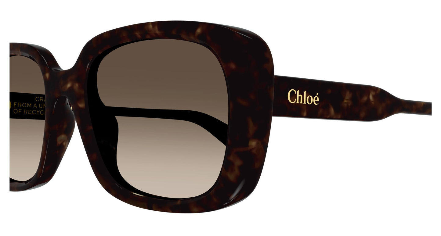 Chloé CH0225SK 002 55