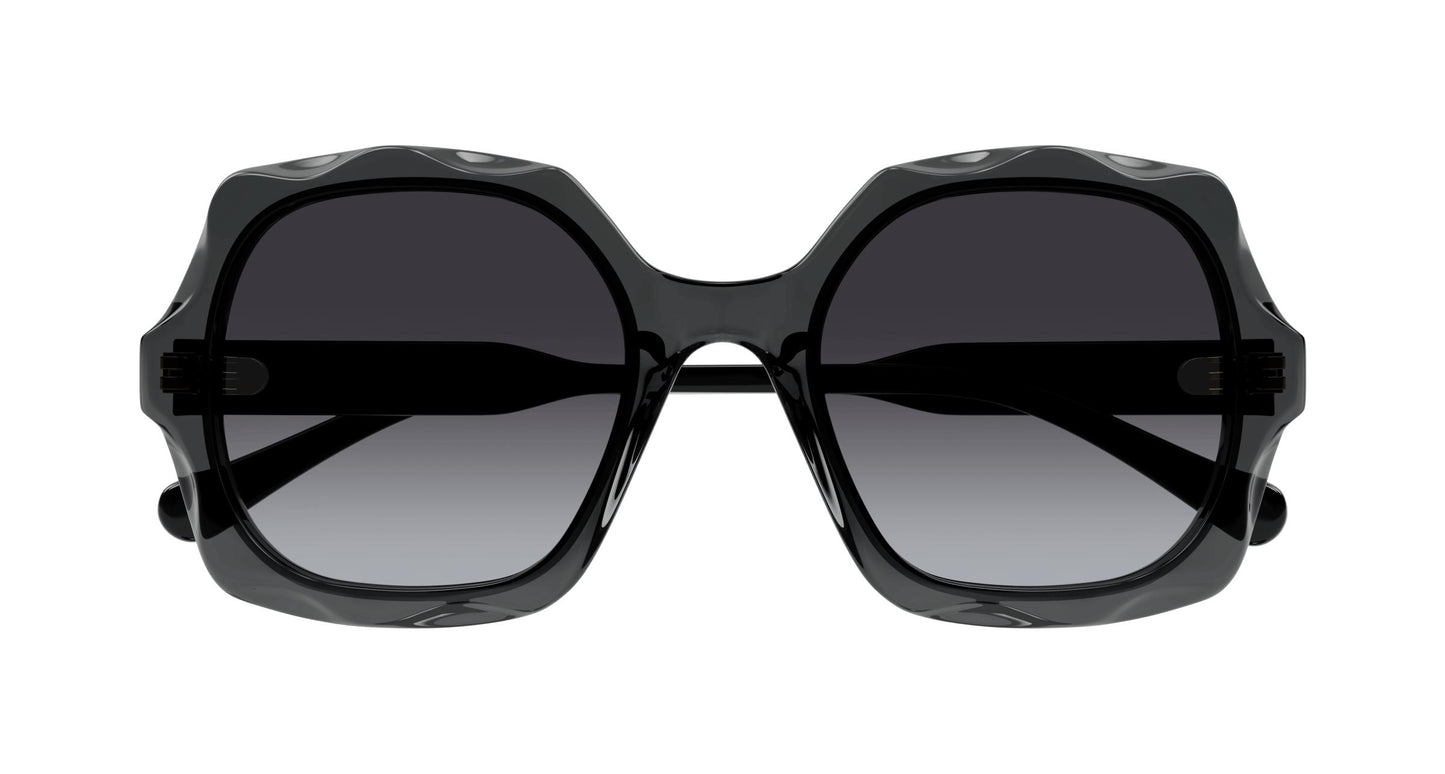 Chloé CH0226S 001 53