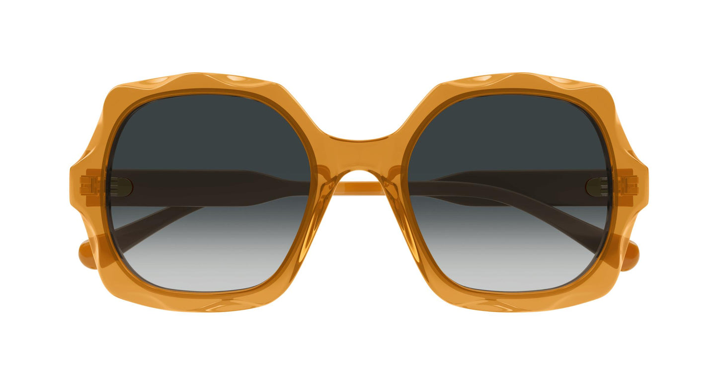 Chloé CH0226S 004 53