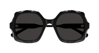 Chloé CH0226S 005 53