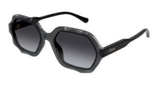 Chloé CH0227S 001 56