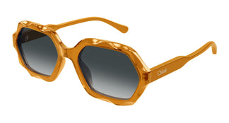 Chloé CH0227S 004 56