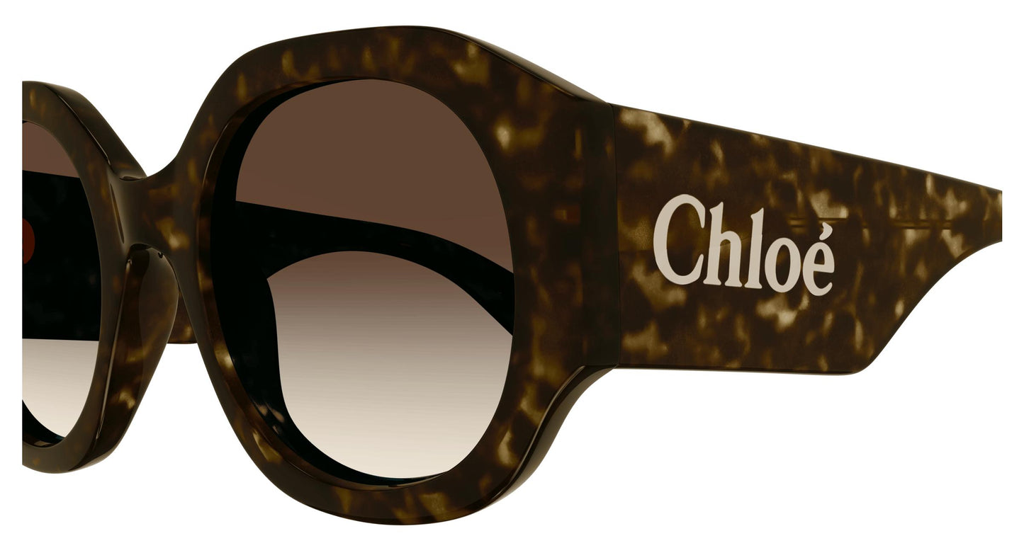 Chloé CH0234S 002 53