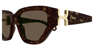 Chloé CH0235S 002 55