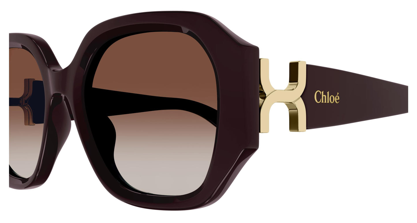 Chloé CH0236S 003 56