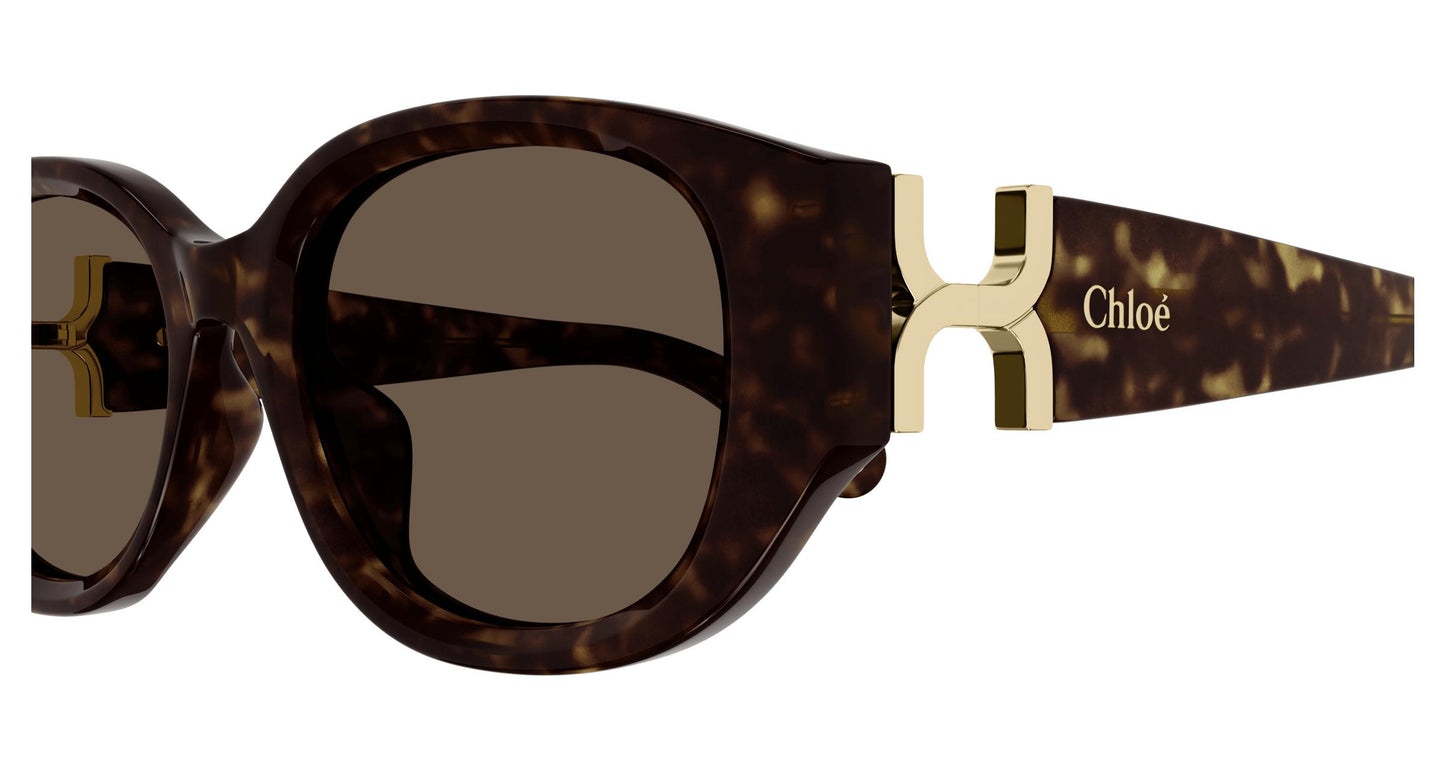 Chloé CH0237SK 002 54