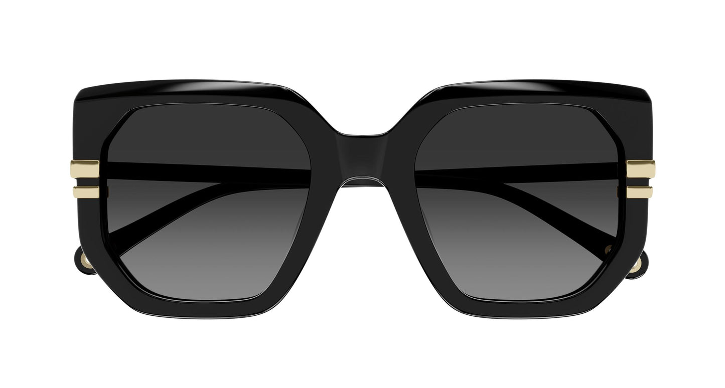 Chloé CH0240S 001 53