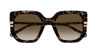 Chloé CH0240S 002 53