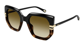 Chloé CH0240S 003 53