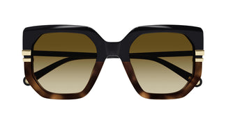 Chloé CH0240S 003 53
