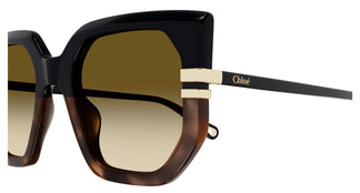 Chloé CH0240S 003 53