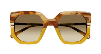 Chloé CH0240S 004 53
