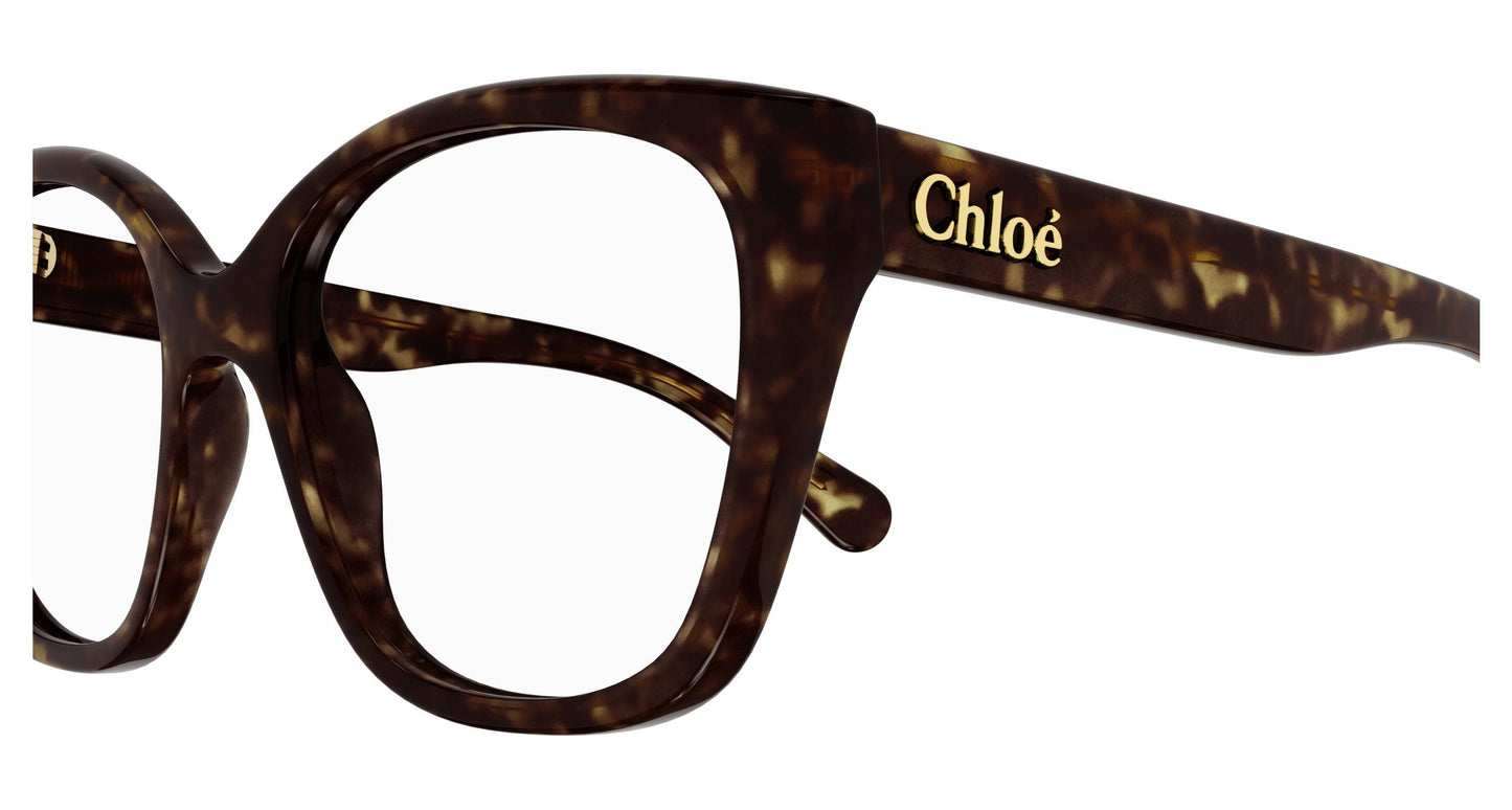 Chloé CH0241O 002 53