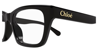 Chloé CH0242O 001 51