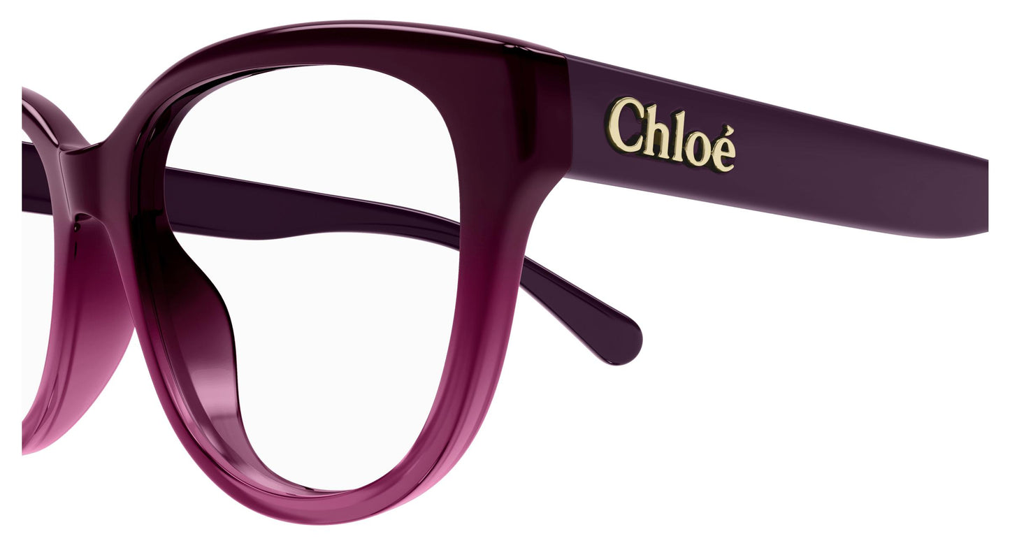 Chloé CH0243O 007 53