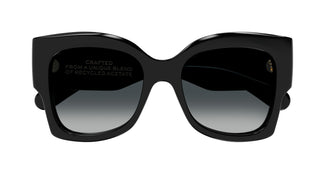 Chloé CH0252S 001 55