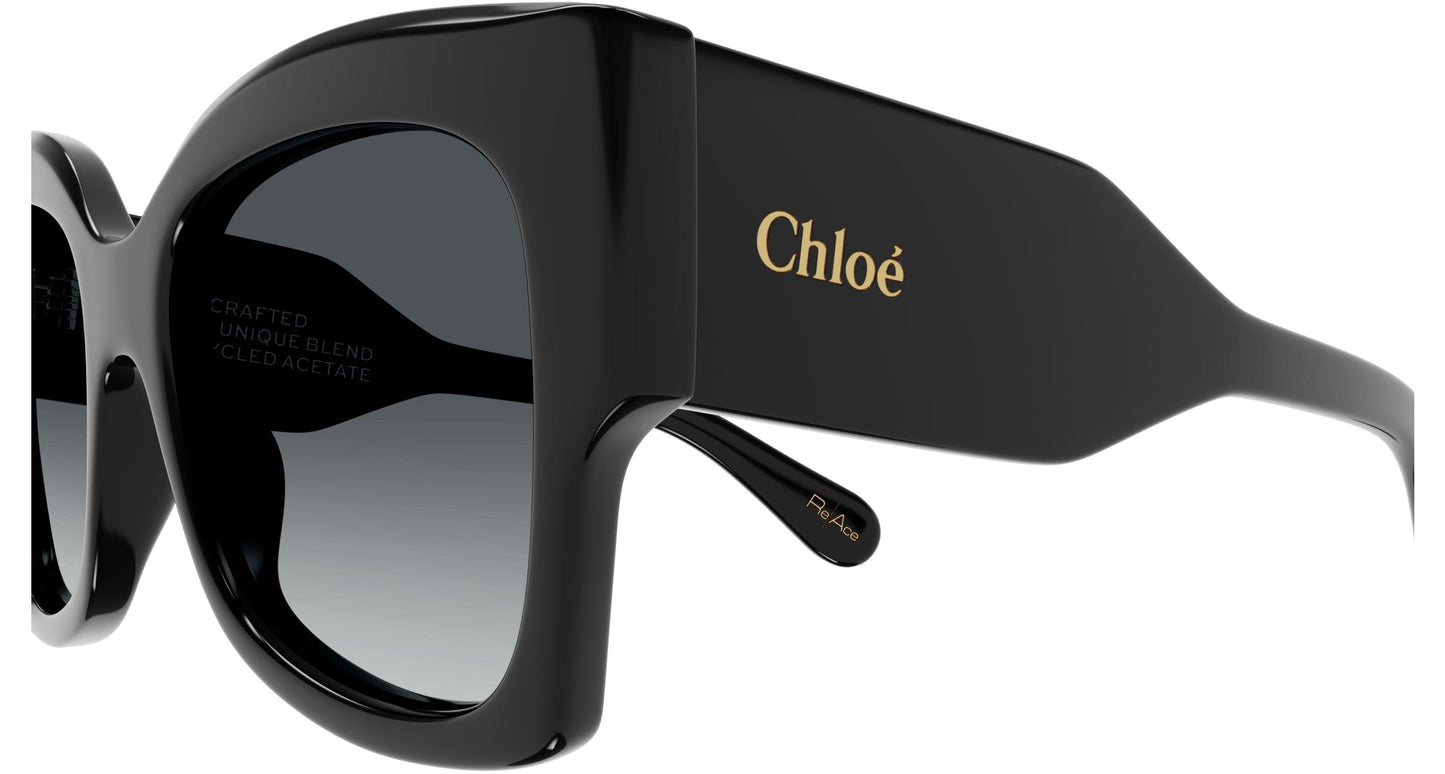 Chloé CH0252S 001 55