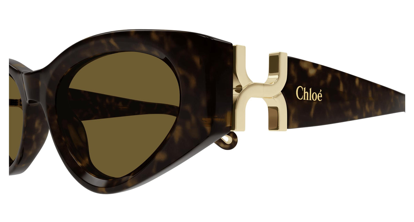 Chloé CH0259S 002 52