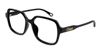 Chloé CH0277OA 001 53