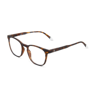 Barner Dalston Tortoise