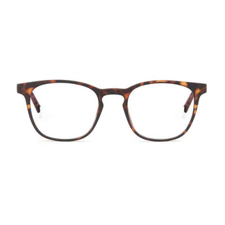 Barner Dalston Tortoise