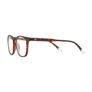 Barner Dalston Tortoise