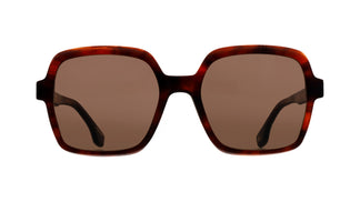 Raval DESI C2