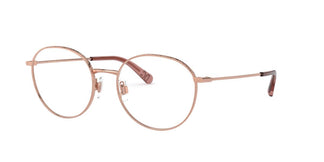 Dolce e Gabbana DG1322 1298 53