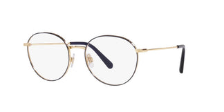 Dolce e Gabbana DG1322 1337 53