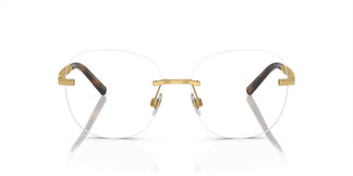 Dolce&Gabbana DG1352 02 56