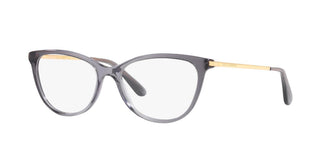 Dolce e Gabbana DG3258 3268 54