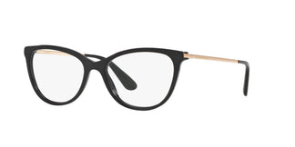 Dolce e Gabbana DG3258 501 54