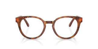 Dolce & Gabbana DG3361 3380 50