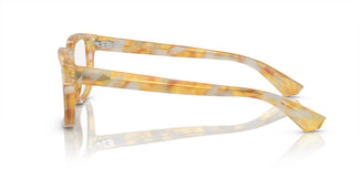 Dolce&Gabbana DG3380 3422 54