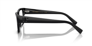 Dolce&Gabbana DG3382 501 55