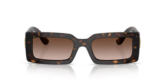 Dolce and Gabbana DG4416 502/13 53